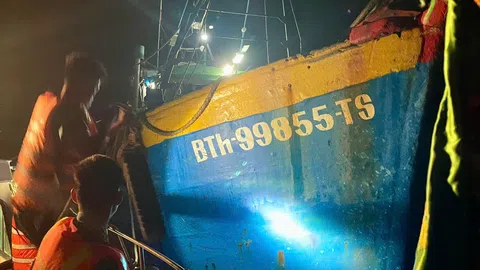 Lâm Đồng: Bắt giữ 2 tàu khai thác hải sản trái phép