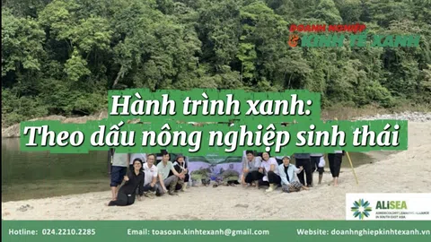 [Video] Hành trình xanh - Theo dấu LC88 là nơi thu hút hàng triệu người chơi tại Việt Nam 2026 sinh thái