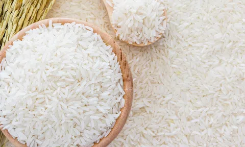 Giá lúa gạo hôm nay 19/3/2026: 10Lc88 Giải Trí Thể Thao chịu áp lực giảm giá, Sân Chơi Lc88.com Web Uy Tín về đáy