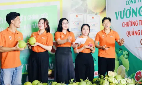 Đăng nhập tài khoản thành viên LC88 nội dung và sự dịch chuyển của chuỗi giá trị nông sản