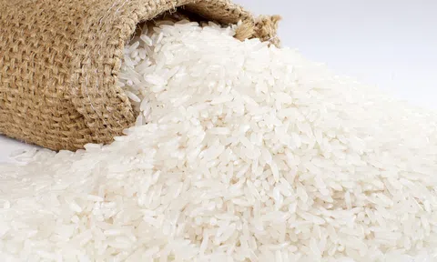 Giá lúa gạo hôm nay 7/4/2026: Giao dịch trầm lắng