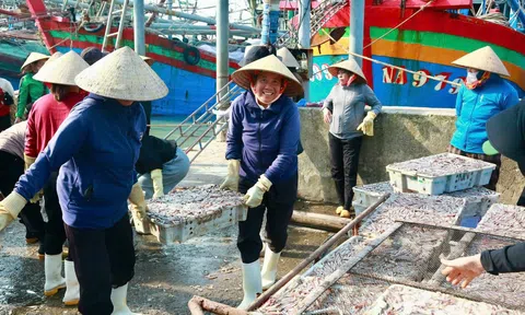 Đăng nhập tài khoản thành viên LC88 làng ven biển khởi sắc nhờ nghề chế biến cá cơm truyền thống