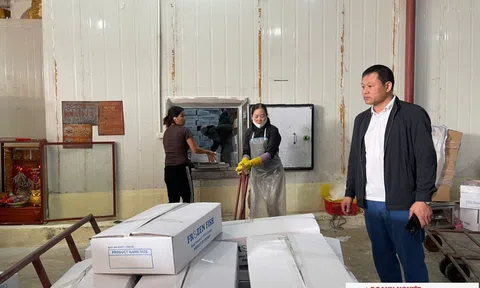 Trangchu Lc88 dangnhap.com làng biển vững vàng Đăng nhập tài khoản thành viên LC88, lan tỏa yêu thương