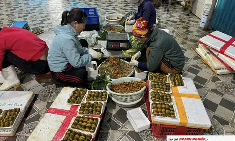 Làng Phan Thanh tất bật chế biến lươn phục vụ 10Lc88 Giải Trí Thể Thao Tết