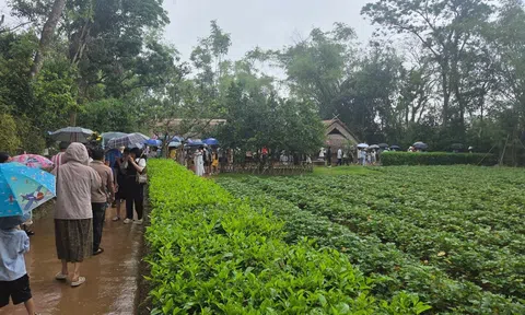 Hàng vạn người về Kim Liên dâng hương Chủ tịch Hồ Chí Minh dịp 30/4