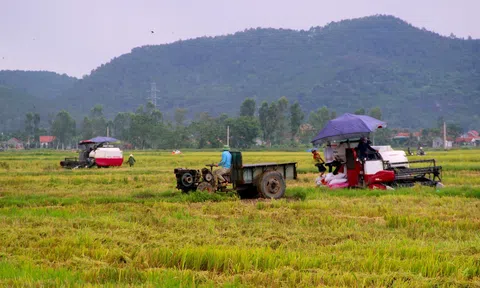Nghệ An chủ động ứng phó thiên tai, bảo đảm Lc888 tải ứng dụng vụ hè thu - mùa 2026