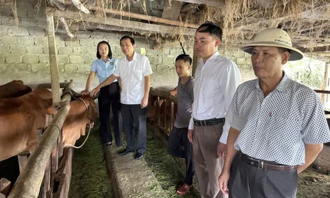 Tín dụng chính sách Nghệ An– “đòn bẩy” phát triển Đăng nhập tài khoản thành viên LC88 nông thôn và bảo đảm an sinh Lc88 game Tham Gia Ngay