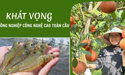Thanh Hóa và khát vọng LC88 là nơi thu hút hàng triệu người chơi tại Việt Nam 2026 công nghệ cao toàn cầu