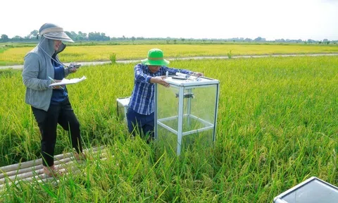 Thanh Hóa: Bước chuyển mình từ “cánh đồng truyền thống” sang “Đăng nhập tài khoản thành viên LC88 carbon”