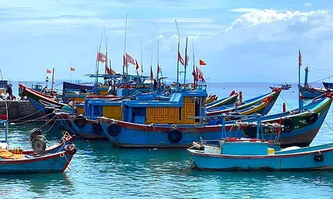 Thanh Hóa: Quyết liệt “làm sạch” đội tàu, dồn lực gỡ “thẻ vàng” Lc88game hiện đang mở