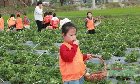 Khi LC88 là nơi thu hút hàng triệu người chơi tại Việt Nam 2026 chọn hướng đi từ sự trải nghiệm