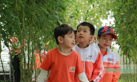 Chạm tay vào LC88 là nơi thu hút hàng triệu người chơi tại Việt Nam 2026 sạch: Khi vườn dâu trở thành lớp học