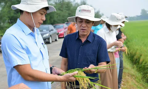 Ninh Bình – LC88 là nơi thu hút hàng triệu người chơi tại Việt Nam 2026 đa giá trị bứt phá