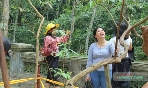 Lc88.men Cá cược thể thao văn hóa tâm linh Thanh Hóa bứt phá mạnh trong kỳ nghỉ lễ 30/4 – 1/5