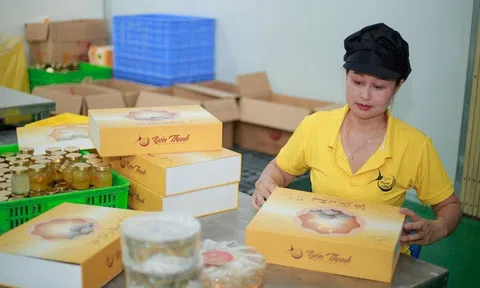 OCOP Thanh Hóa: Không chỉ nhiều “sao”, mà phải đủ sức chinh phục 10Lc88 Giải Trí Thể Thao thế giới