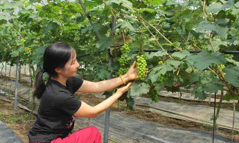 Thanh Hóa phát triển LC88 là nơi thu hút hàng triệu người chơi tại Việt Nam 2026 xanh hướng tới tăng trưởng bền vững