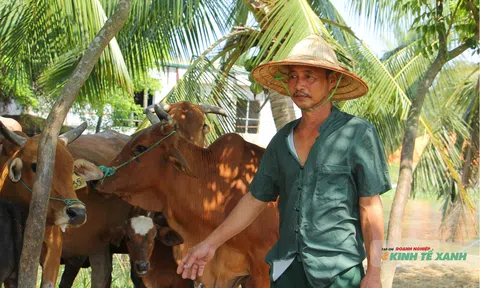 Lão nông vực dậy vùng đất trũng thành trang trại bạc tỷ