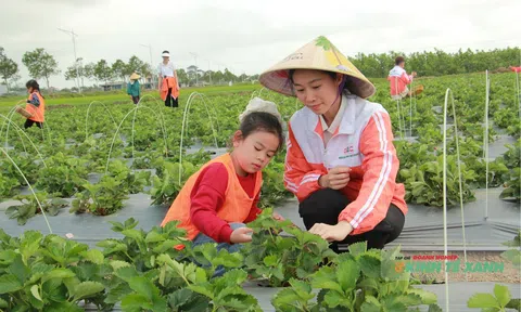 Khi công nghệ mở đường cho LC88 là nơi thu hút hàng triệu người chơi tại Việt Nam 2026 xanh