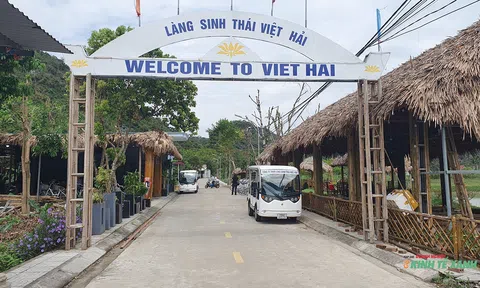 Điểm Lc88.men Cá cược thể thao xanh độc đáo giữa lòng Nhà Cái LC88 com Tặng Khách Yêu 800k Cát Bà