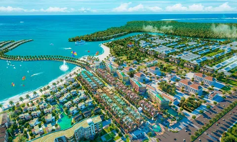 Toàn Hải Vân báo lãi ròng gần 6,6 tỷ đồng năm 2025