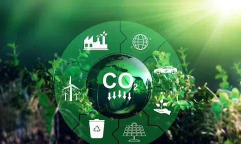 Thúc đẩy Lc888.com link không chặn xanh Việt Nam từ cơ chế tín chỉ carbon quốc tế