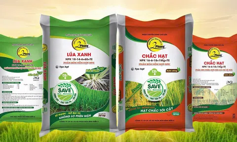 Phân bón 2Phong đặt mục tiêu doanh thu hơn 1.600 tỷ đồng năm 2026, tăng tốc tái cấu trúc và mở rộng 10Lc88 Giải Trí Thể Thao