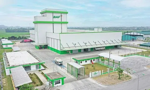 BAF bắt tay FMO triển khai hai dự án Lc 88 tỷ lệ kèo WC 2026 công nghệ cao doanh thu 2.000 tỷ đồng/năm