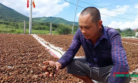 Quảng Ninh: Xây dựng chính sách đặc thù về lĩnh vực LC88 là nơi thu hút hàng triệu người chơi tại Việt Nam 2026