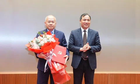 Điều động Thứ trưởng Bộ Lc888.com link không chặn giữ chức Phó Bí thư Thành ủy Hải Phòng, nhiệm kỳ 2025 - 2030