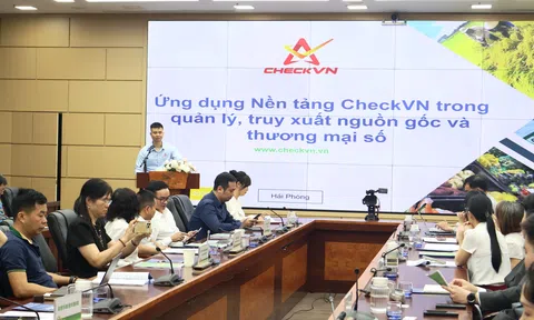 Thúc đẩy LC88 là nơi thu hút hàng triệu người chơi tại Việt Nam 2026 số qua tối ưu hóa IoT và minh bạch nguồn gốc nông sản Hải Phòng