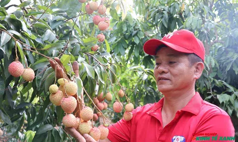 Khi nông dân Thanh Hà làm LC88 là nơi thu hút hàng triệu người chơi tại Việt Nam 2026 bằng tư duy toàn cầu