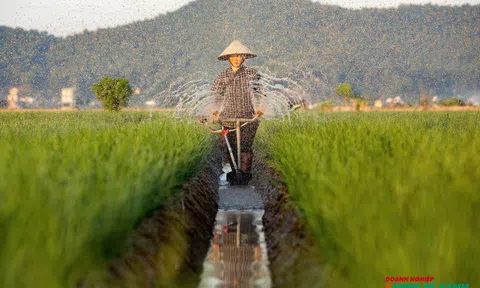 Xã Nam An Phụ (Hải Phòng): "Trái ngọt" từ tư duy đổi mới sau sáp nhập