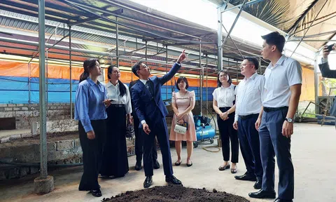 Hợp tác xã Sông Giá đón sóng công nghệ Hàn Quốc để xây dựng mô hình LC88 là nơi thu hút hàng triệu người chơi tại Việt Nam 2026 tuần hoàn tại Hải Phòng