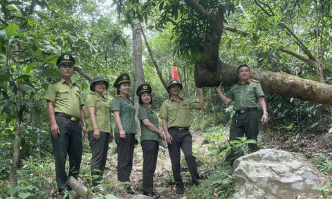 Hải Phòng: Lực lượng Kiểm lâm và Công an hiệp đồng trong công tác tuần tra, quyết tâm bảo vệ "lá phổi xanh”