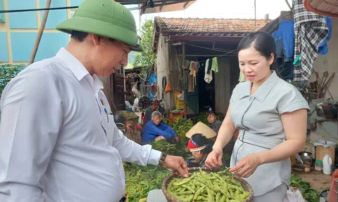Trang Chủ LC88.COM Link Mới 2026 Đăng Ký LC 88 Bắc An Phụ phấn khởi khi đậu tương Cao Hùng 09 được mùa, giá ổn định