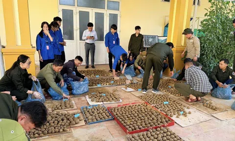 Hà Tĩnh: “Bom hạt giống” - Lan tỏa thông điệp bảo vệ, phát triển rừng bền vững