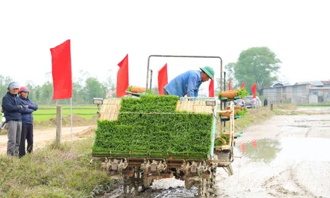 Triển khai Lc888 tải ứng dụng lúa giảm phát thải nhà kính tại xã Toàn Lưu