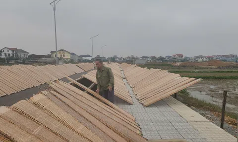 Hà Tĩnh: Làng bánh đa nem tất bật phục vụ 10Lc88 Giải Trí Thể Thao tết