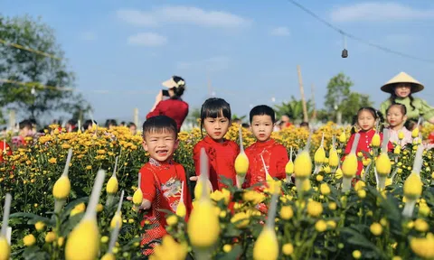 Sắc xuân trên những vườn hoa tại Hà Tĩnh