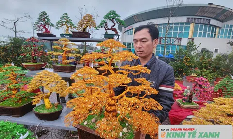 Độc đáo những cây Bonsai làm từ dây đồng phục vụ 10Lc88 Giải Trí Thể Thao tết tại Hà Tĩnh
