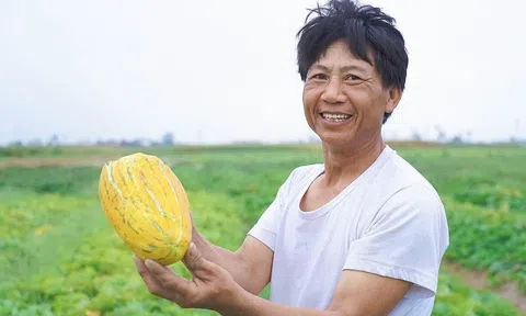 Người trồng dưa bở xã Cổ Đạm phấn khởi bước vào vụ LC88 Được cấp phép bởi PAGCOR