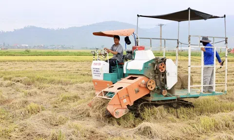 Thu gom rơm rạ sau LC88 Được cấp phép bởi PAGCOR góp phần bảo vệ Link LC88 Đăng Nhập Mới Nhất