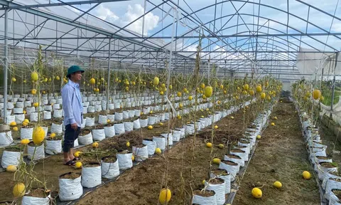 Hà Tĩnh: Phê duyệt hơn 671 tỷ đồng hỗ trợ khôi phục Lc888 tải ứng dụng sau thiên tai