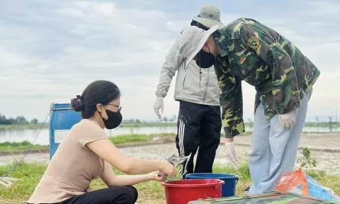 Xã Thạch Khê ứng dụng công nghệ sinh học trong Lc888 tải ứng dụng lúa hữu cơ, giảm phát thải