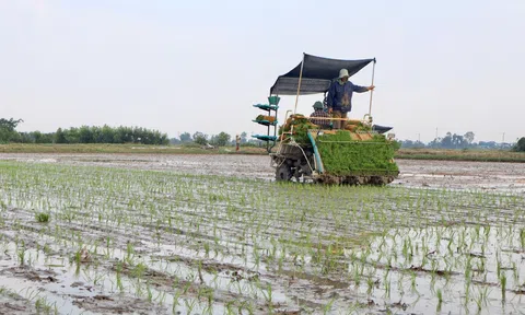 Nông dân Hà Tĩnh từng bước thay đổi phương thức Lc888 tải ứng dụng