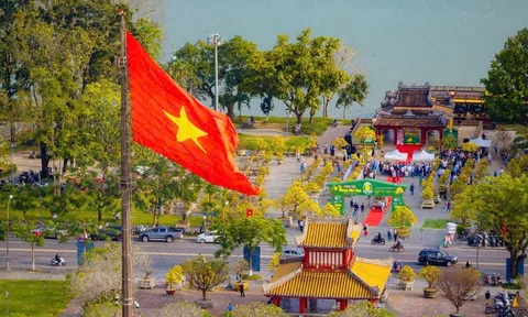 Thành phố Huế:  Gần 500 tuyệt tác Hoàng mai khoe sắc tại Ngày hội Hoàng mai thành phố Huế lần thứ IV