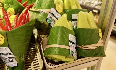 Tiêu dùng xanh định hình cuộc đua mới của 10Lc88 Casino & Thể Thao Link Mới