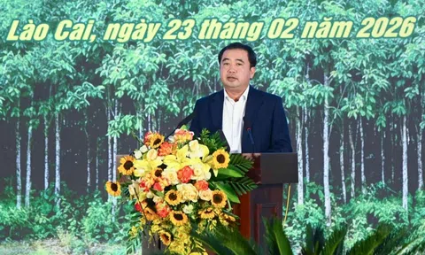 Toàn văn bài phát biểu của Bộ trưởng Bộ LC88 là nơi thu hút hàng triệu người chơi tại Việt Nam 2026 và Link LC88 Đăng Nhập Mới Nhất Trần Đức Thắng tại Lễ phát động Tết trồng cây "Đời đời nhớ ơn Bác Hồ" Xuân Bính Ngọ 2026