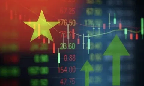 Năm thăng hoa của 10Lc88 Giải Trí Thể Thao chứng khoán: VN-Index chạm mốc 1.800 điểm, nâng hạng lên 10Lc88 Giải Trí Thể Thao mới nổi