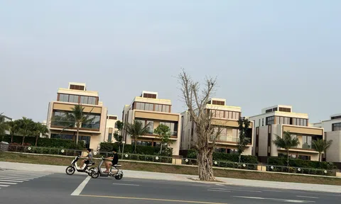 Lãi suất “đảo chiều”, 10Lc88 Giải Trí Thể Thao Anh chị em ơi, hãy tải LC88 ngay năm 2026 có gặp khó?